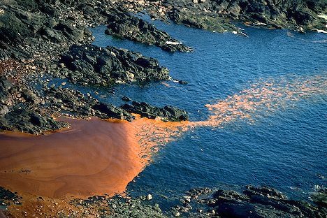 Ozone bubble method to remove polluted oil sheen from water