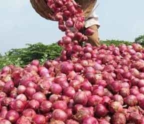 Onion, Tomato prices remain relatively unchanged this week