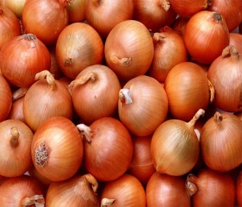 Onion Rates Decline On Bettered Arrivals