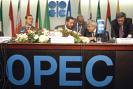 OPEC oil price rises more than one dollar 