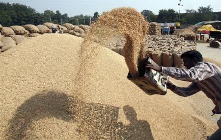 Punjab, Haryana procure nearly 179 lakh tonnes paddy