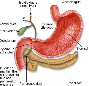 Pancreatic Cancer