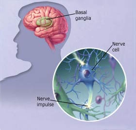 New discovery can speed up development of Parkinson’s drugs