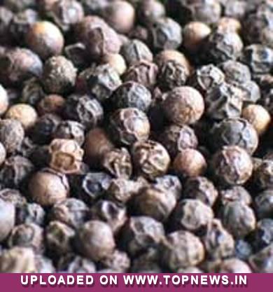 Commodity Trading Tips for Pepper by KediaCommodity