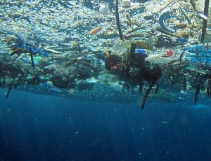 Our oceans are now awash with more than 5 trillion plastic pieces!