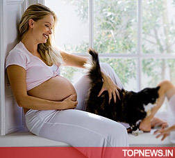 Pregnant pets and pregnant women have same needs