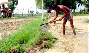 Double fence blocks Punjab farmers from cultivating their own land