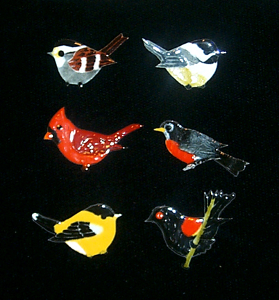 Six rare international bird species