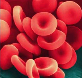 Indian-American helps develop synthetic red blood cells