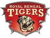Tigers defeated by Rockets 