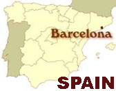 Four Spanish firefighters killed by wildfire