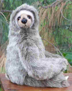 sloths