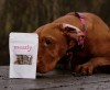 Meatly Raises £10.4 million Series A for Building Cultivated Meat Facility in London
