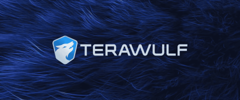 Bitcoin Miner TeraWulf's Stock Price Jumps After Entry in AI Infrastructure Segment