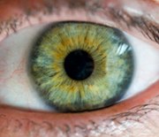 Superhuman Vision