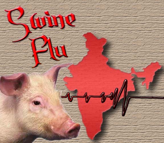 India's swine flu toll rises to 530 