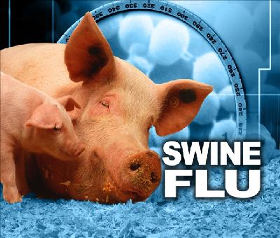 No swine flu in Libya, more cases appear across Middle East