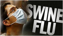 India's swine flu toll touches 537, over 16,000 affected