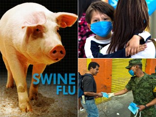 19 swine flu cases reported in Himachal
