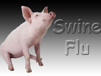 Swine flu hits Mexico tourism with losses of 524 million dollars 