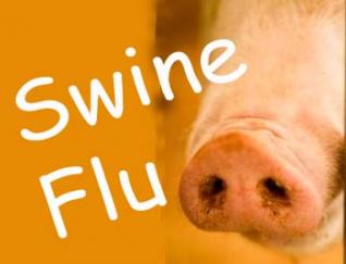 One swine flu death in Chandigarh, six new cases