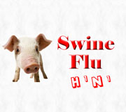 Reports of the two suspected patients of H1N1 flu were negative 