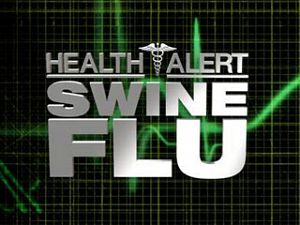 Three swine flu deaths take India's toll to 447