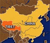 Tibet 'government' condemns violent protests during torch run