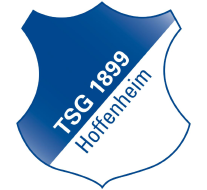 Hoffenheim beat Cottbus to top Bundesliga 