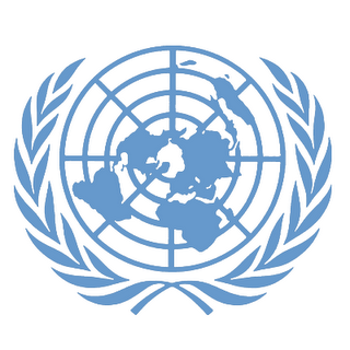 Zimbabwe calls off visit by UN rapporteur on torture 
