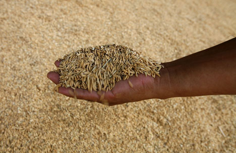 Wheat shortage fuels food inflation in July