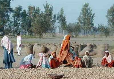 Self-help groups help rural women in Punjab