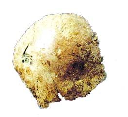 Chinese archaeologists find 100,000-year-old human skull