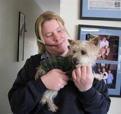 Walk the pet pooch or land up in jail!