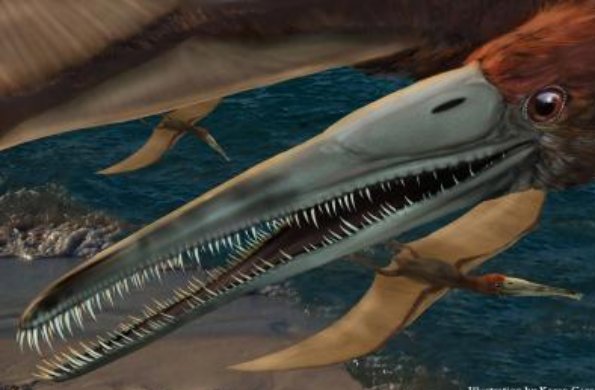 New pterosaur species fossils discovered in US