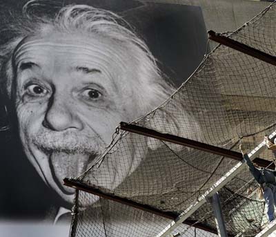 Einstein’s ‘bee demise’ hypothesis ‘a myth’: Experts