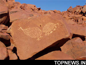 Ancient Tongan rock carvings may shed light on pre-Polynesian voyagers