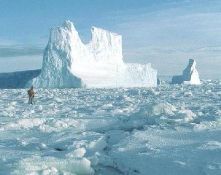   Scientists find Antarctic worm that survives cold with an antifreeze system  