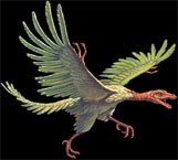 Ear analysis suggests Archaeopteryx was more birdlike than reptilian