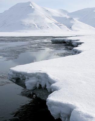 'Within decade, Arctic Ocean will be ice-free each summer'