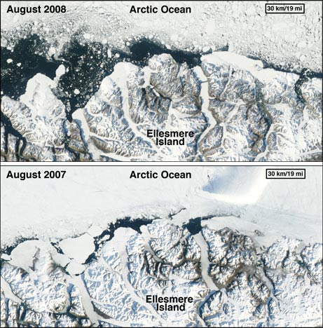 Arctic region