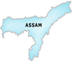 Eight militants surrender in Assam