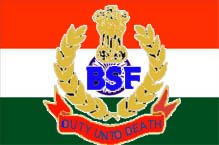 BSF personnel injured in J-K grenade blast