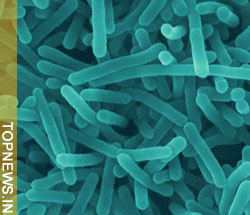 Tiny microscopic spheres can trap and kill harmful bacteria