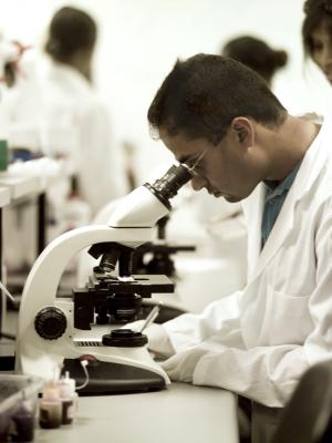 Basic sciences