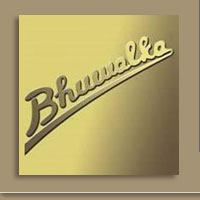 Bhuwalka Steel