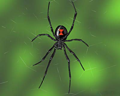 Russian woman nicknamed Black Widow drugged and raped 10 men