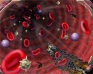 Scientists identify blood clotting ''on-off switch''