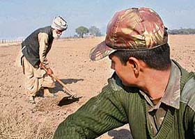 Border Farmers