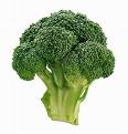 Broccoli – A Boon Against Chronic Obstructive Pulmonary Disease (COPD)!